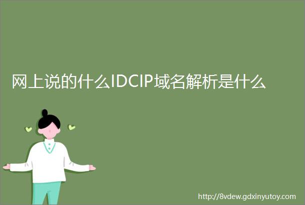 网上说的什么IDCIP域名解析是什么